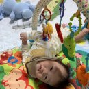 위에듀체육관 이미지