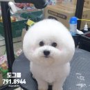 솔이몰
