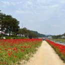 육미천하 이미지