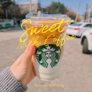 달달커피 | 스타벅스 스위트 밀크 커피 후기｜달달한 라떼 느낌, 샷 추가 추천