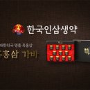 현대홍삼생약 네이버블로그