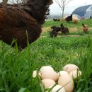 김제아리랑농원 이미지