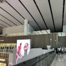 허브의 모든것 | 인천공항 2터미널 스카이허브라운지 서편 위치 예약 및 이용방법 후기