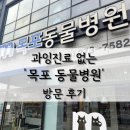 광장동물병원 | 과잉 진료 없는 &#39;목포동물병원&#39; 방문후기