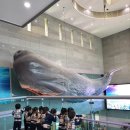 하이농장 이미지