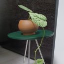 신답농장 이미지