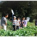 마이공인중개사사무소 이미지