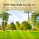 월드당구회관 | 밴쿠버 어학원들 총 집합! 밴쿠버 어학연수후기 밴쿠버 어학원생들 최신 근황