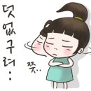 샤브채 이미지