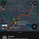 (주)디스트릭트코리아 | 2025 스포츠서울 하프 마라톤 대비 러닝일기(+샥즈 오픈닷원 후기)