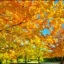 가을하늘 이미지