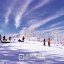 용평리조트 이미지