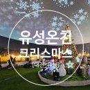 유림공원 | 2025 유성 크리스마스축제_유림공원_첫날후기