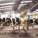 우일목장 이미지