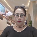 숲속애견샵 이미지