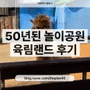 GS25 춘천영서로점 | 춘천 육림랜드 후기, 입장료, 놀이기구 종류, 동물원 종류, 알파카