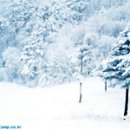 서강목장 이미지