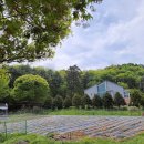 희망영농 이미지