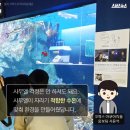 코난아쿠아리움