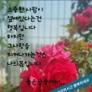 기분좋은날 네이버블로그