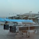 TIFFANY | 인천공항 제2터미널 면세점 티파니앤코 TIFFANY&amp;CO 면세가 가격 후기 및 위치