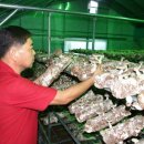 농선농장 이미지