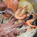 강성물회 회 구이 이미지