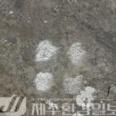 오현기획