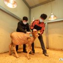 한우사육사 이미지