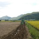 대행농장 이미지