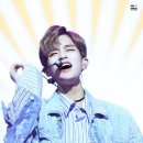 요기요 Daum카페