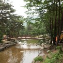 오도산자연휴양림(합천) 네이버블로그