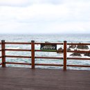 맹방해변 이미지