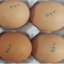 진일축산 네이버블로그
