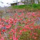 귀거래가든 이미지