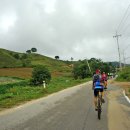 강수목장 이미지