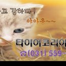 타이어코리아TK화도점 이미지