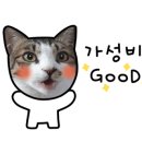 이디야커피영암점