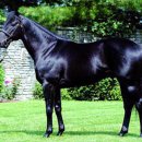 부마목장 이미지