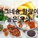 마그네슘 마그네슘 부족 이미지