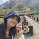 키즈앤패밀리치과의원 이미지