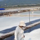 곰소토굴젓갈