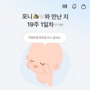 더 트리니티스파 | 더트리니티 스파 광교점: 산전마사지 후기, 원하는 부위 집중 케어 가능 - (4회 추가 등록 ✔️)