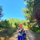 융건릉공영주차장 | 경기도 가볼만한곳 추천! 세계문화유산 탐방, 융건릉