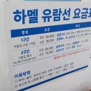 8년 만에 다시 찾은 거문도 백도 유람선과 거문도 백도 가는 방법