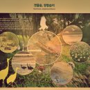 신평동1066 이미지