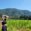 나리 야영장 옆 이미지