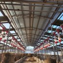 수리한우농장 이미지