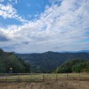 흥천목장 이미지