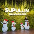 바이더웨이 구리제일점 B | 노원키즈카페 수풀림 아쿠아카페 구리갈매점 물고기 상어 관람 후기